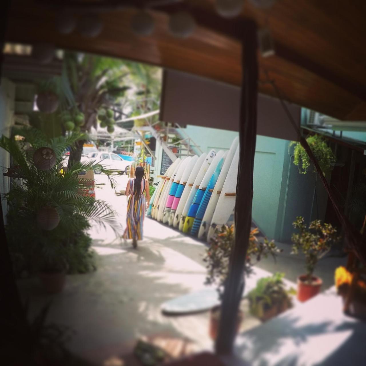 Cocobolo Surf Hotel & School Playa Santa Teresa  Eksteriør bilde